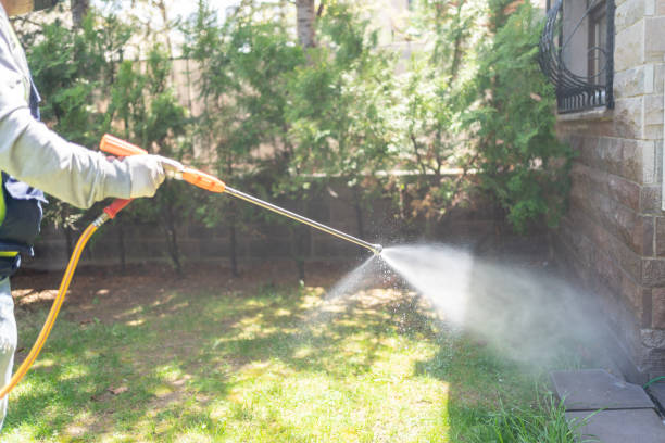 Best Ant Control Services  in Niagara University, NY