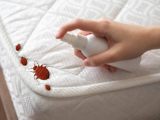 Best Pest Control Near Me  in Niagara University, NY