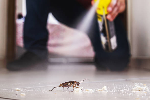 Niagara University, NY Pest Control Company