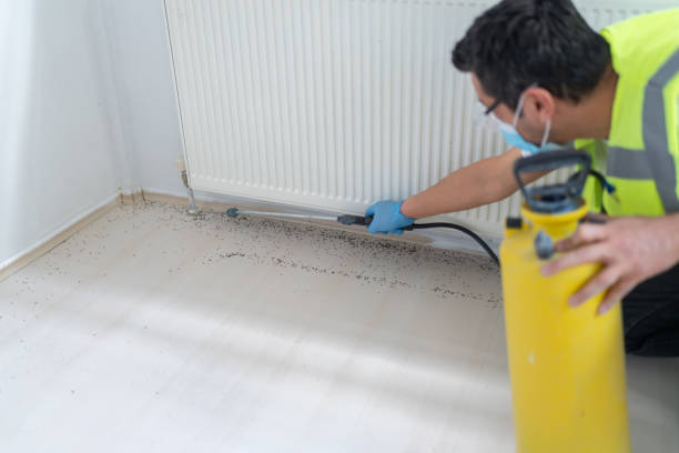 Best Best Pest Control Companies  in Niagara University, NY
